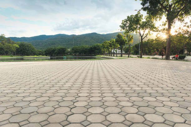 Best Professional Driveway Pavers  in Riverwoods, IL